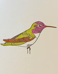 Anna's Hummingbird Letterpress Card