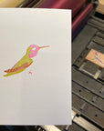 Anna's Hummingbird Letterpress Card