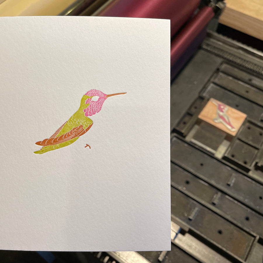 Anna's Hummingbird Letterpress Card