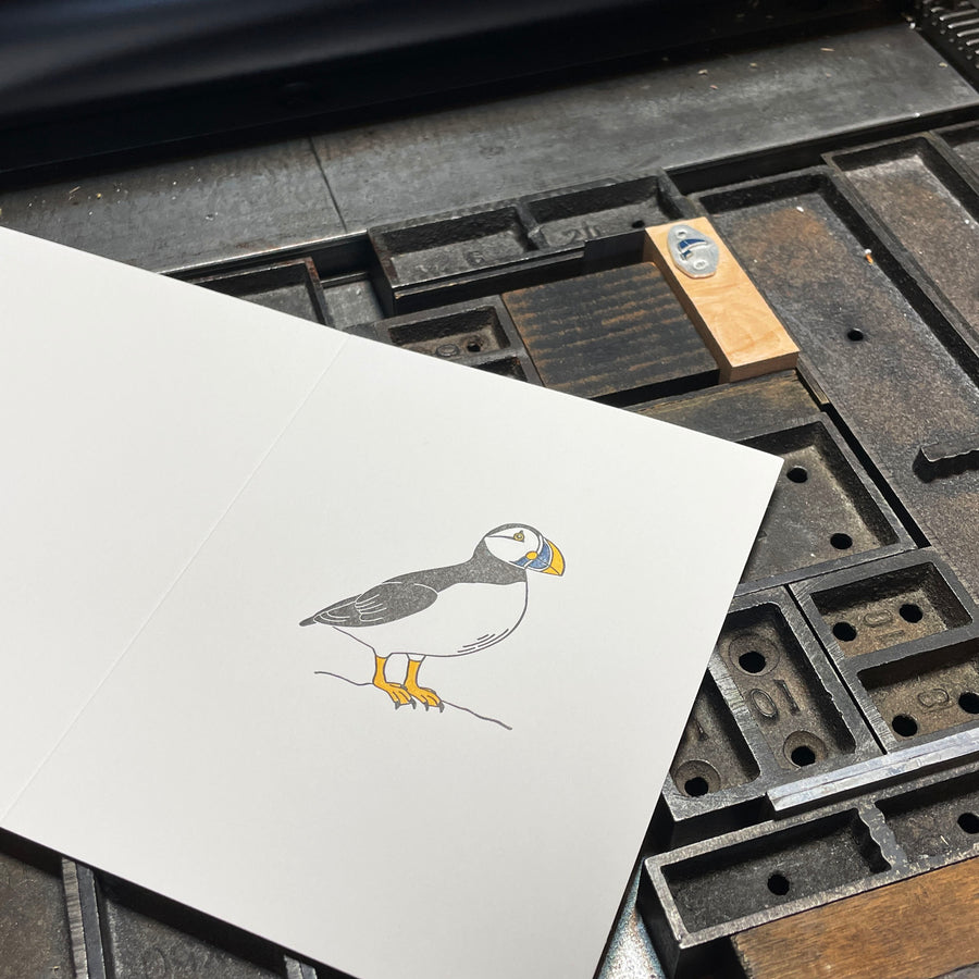 Atlantic Puffin Letterpress Card