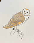 Barn Owl Letterpress Card