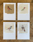 Bird Letterpress Prints on Handmade Paper with Watercolor