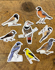 Bird Sticker Pack 2 - Set of 4