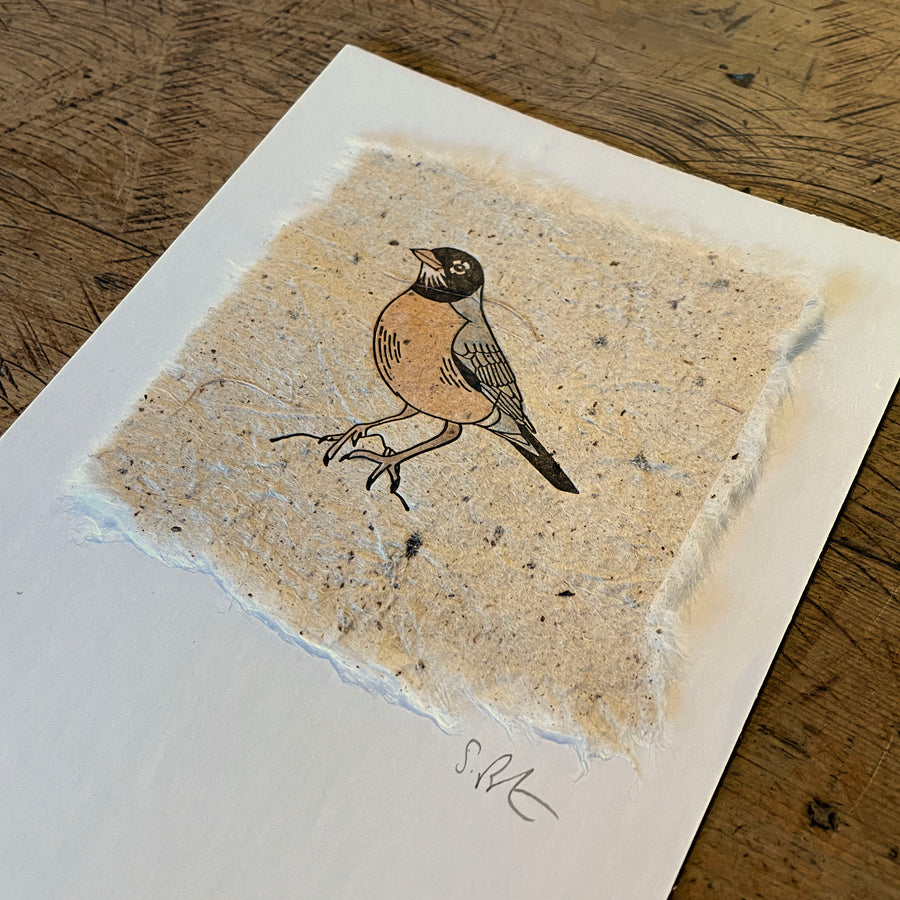 Bird Letterpress Prints on Handmade Paper with Watercolor