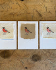 Bird Letterpress Prints on Handmade Paper with Watercolor