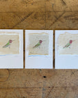 Bird Letterpress Prints on Handmade Paper with Watercolor