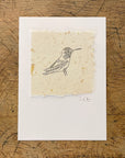 Bird Letterpress Prints on Handmade Paper