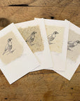 Bird Letterpress Prints on Handmade Paper
