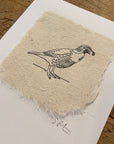 Bird Letterpress Prints on Handmade Paper
