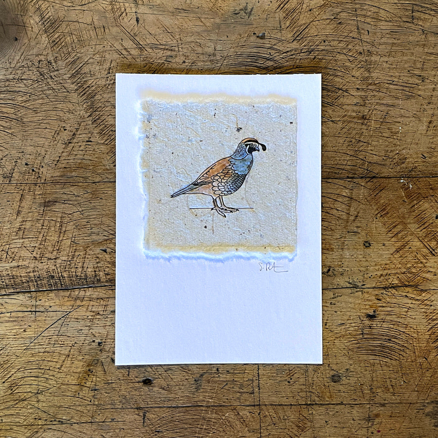 Bird Letterpress Prints on Handmade Paper with Watercolor