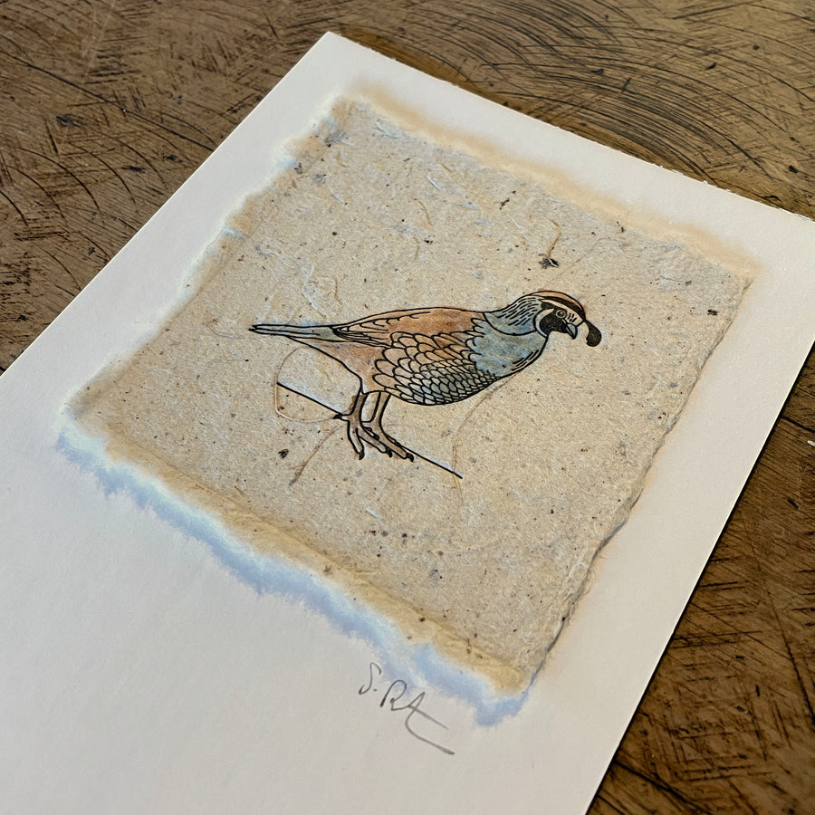 Bird Letterpress Prints on Handmade Paper with Watercolor