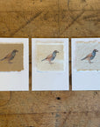 Bird Letterpress Prints on Handmade Paper with Watercolor