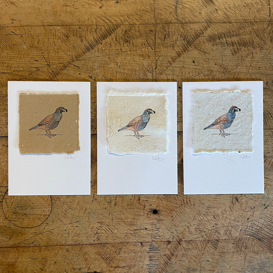 Bird Letterpress Prints on Handmade Paper with Watercolor