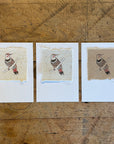 Bird Letterpress Prints on Handmade Paper with Watercolor