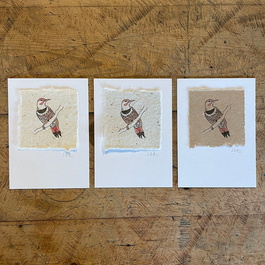 Bird Letterpress Prints on Handmade Paper with Watercolor