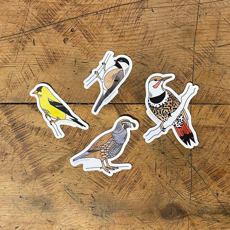 Bird Sticker Pack 2 - Set of 4