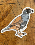 California Quail 3" Sticker