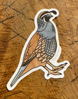 California Quail 3" Sticker