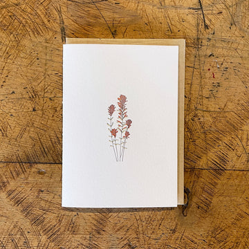 Desert Paintbrush Wildflower Letterpress Card
