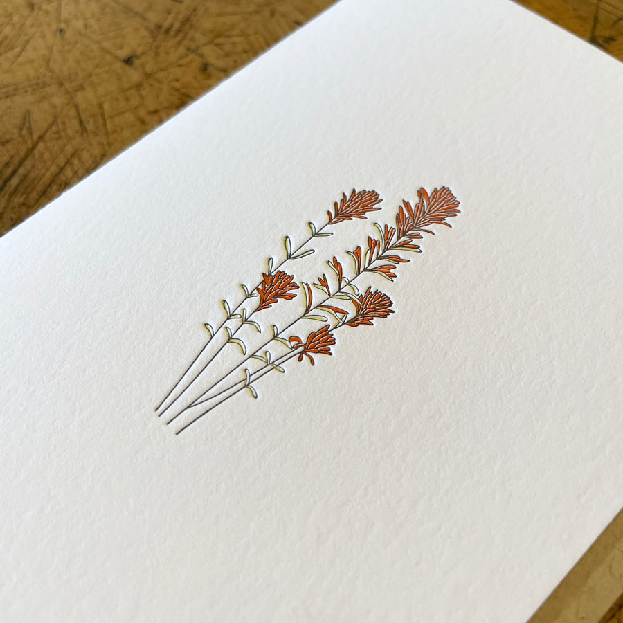 Desert Paintbrush Wildflower Letterpress Card