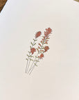 Desert Paintbrush Wildflower Letterpress Card