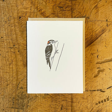 Downy Woodpecker Letterpress Card