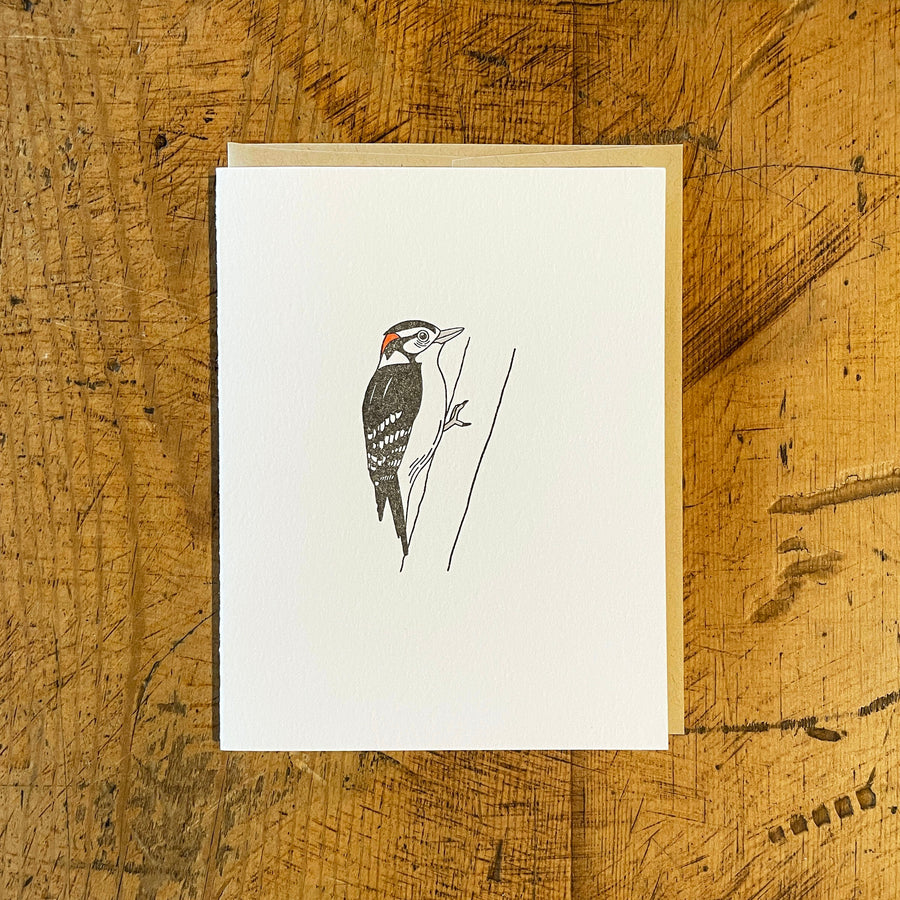 Downy Woodpecker Letterpress Card