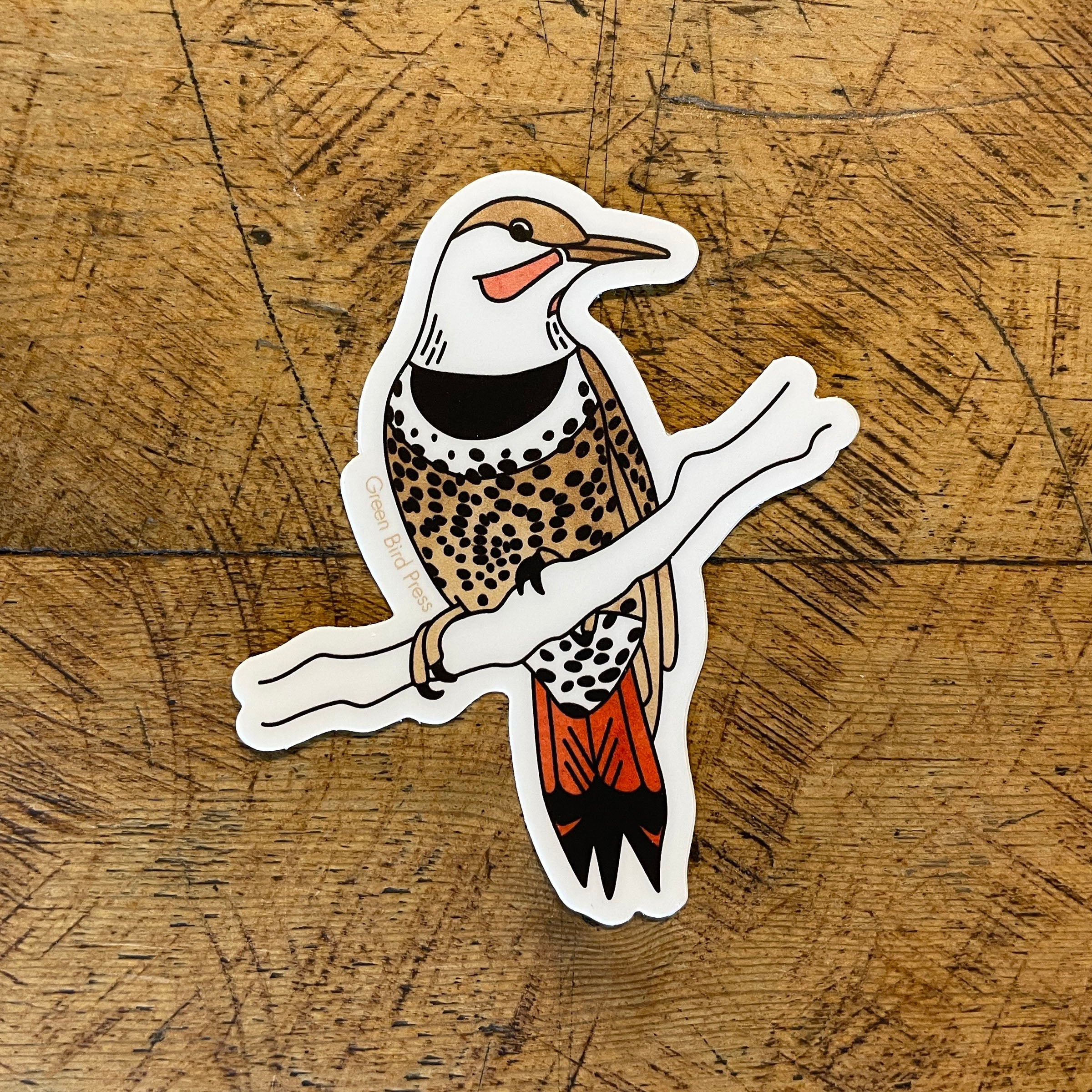Northern Flicker Sticker – Green Bird Press