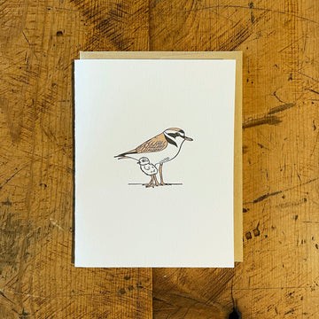 Snowy Plover Letterpress Card