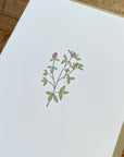 Red Clover Wildflower Letterpress Card