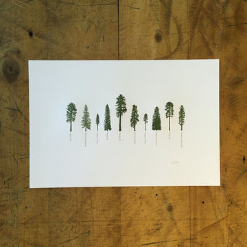 A Few Conifers Letterpress Print