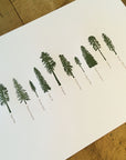 A Few Conifers Letterpress Print