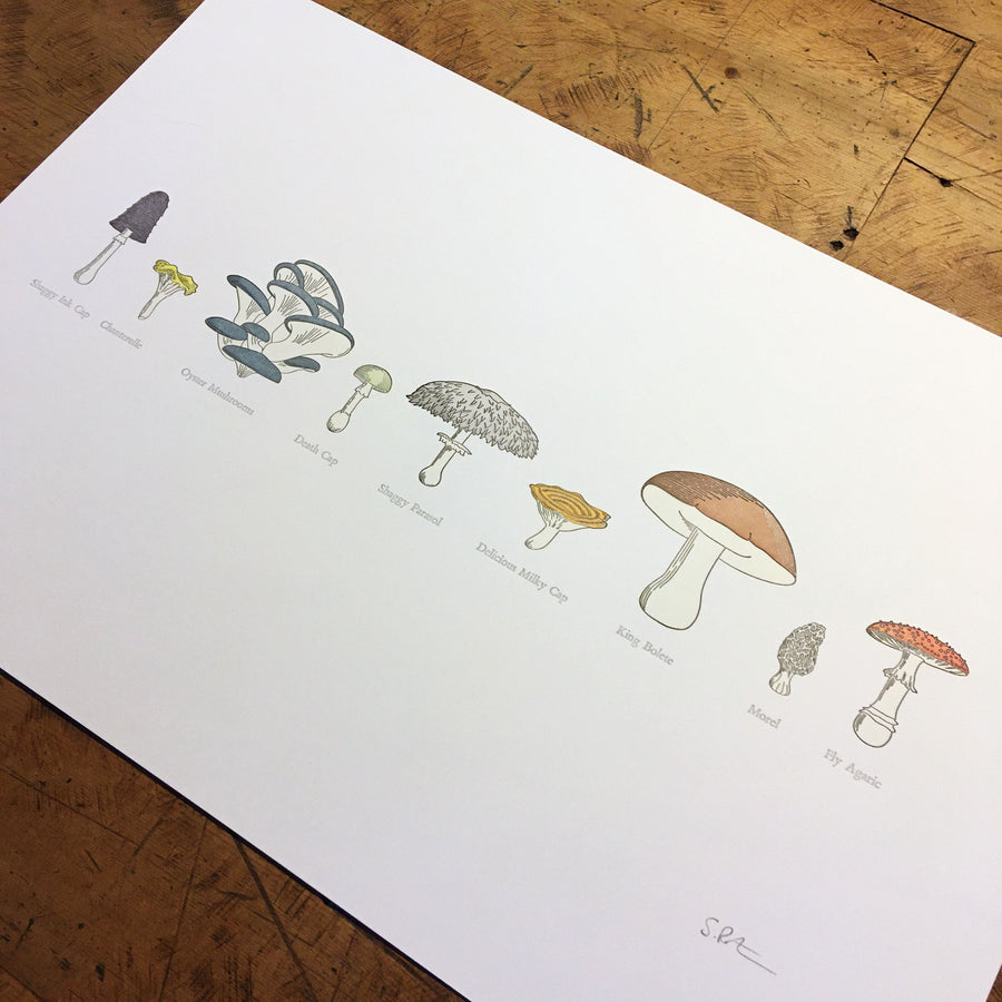A Few Mushrooms Letterpress Print