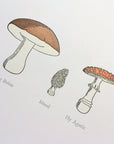 A Few Mushrooms Letterpress Print