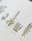 A Few Wildflowers Letterpress Print