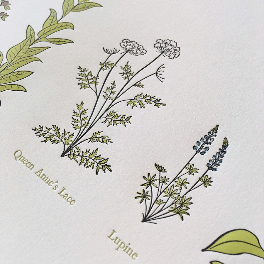 A Few Wildflowers Letterpress Print