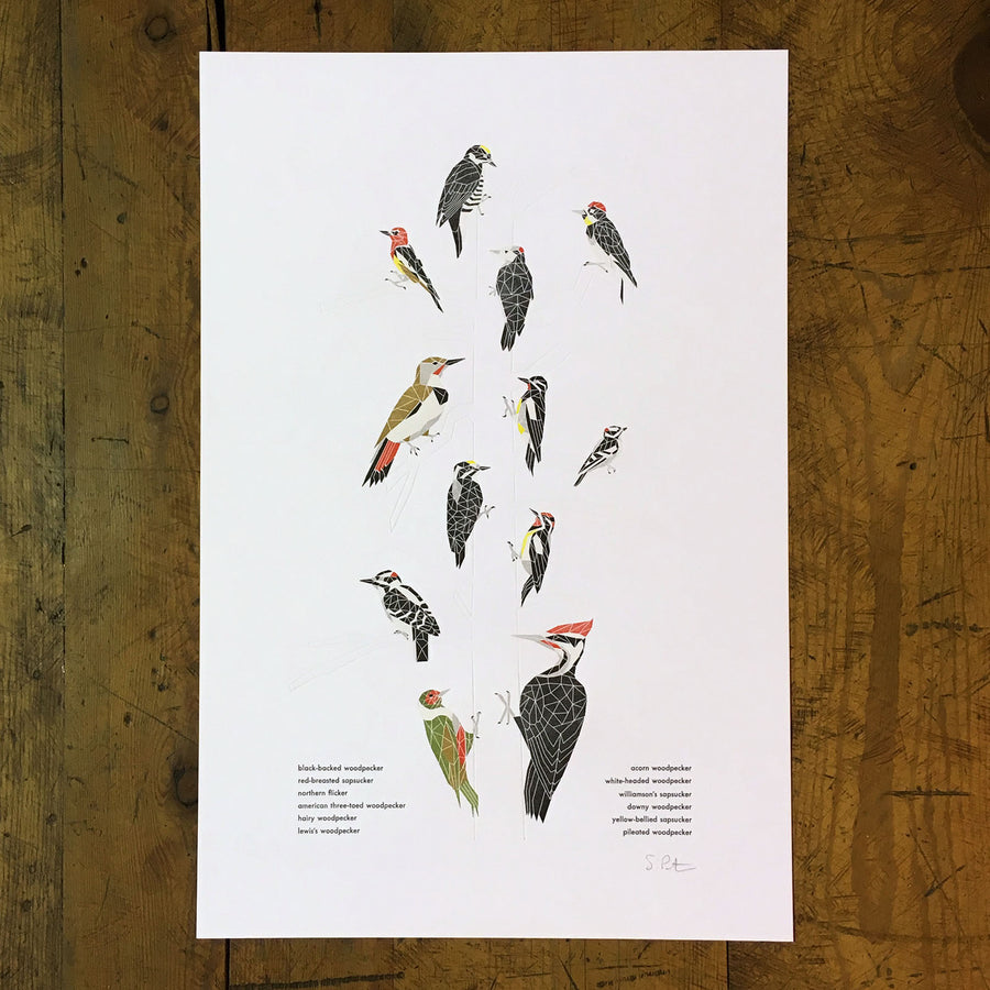 A Few Woodpeckers Letterpress Print