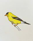 American Goldfinch Letterpress Card