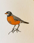 American Robin Bird Letterpress Card