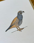 California Quail Letterpress Card