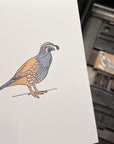 California Quail Letterpress Card