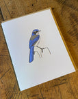 California Scrub Jay Bird Letterpress Card