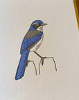 California Scrub Jay Bird Letterpress Card