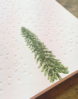 Conifer Tree Letterpress Holiday Cards - Stars & Snow