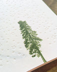 Conifer Tree Letterpress Holiday Cards - Stars & Snow