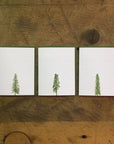 Conifer Tree Letterpress Holiday Cards - Stars & Snow