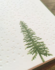 Conifer Tree Letterpress Holiday Cards - Stars & Snow