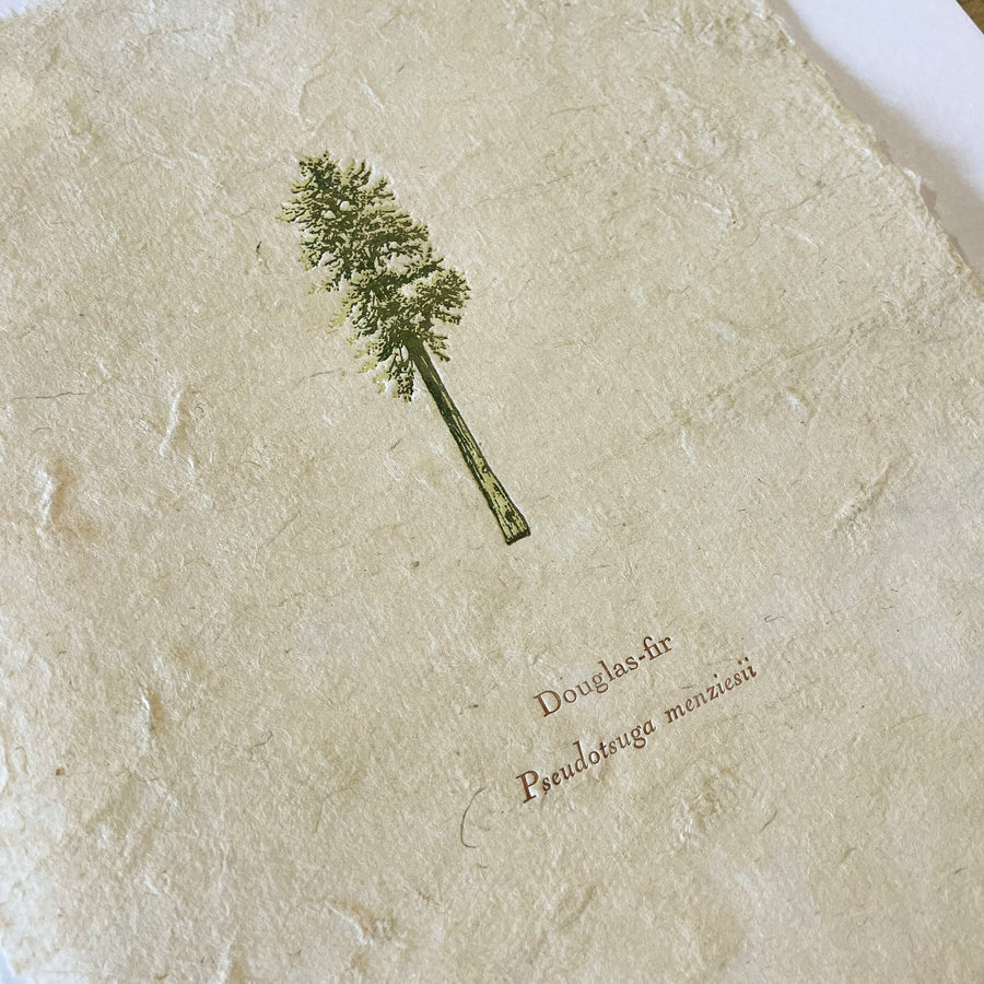 Douglas-fir Letterpress Print on Handmade Paper