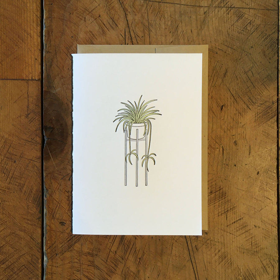 Spider Plant Letterpress Card