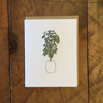Umbrella Plant Letterpress Card